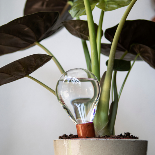 house of thol - waterworks