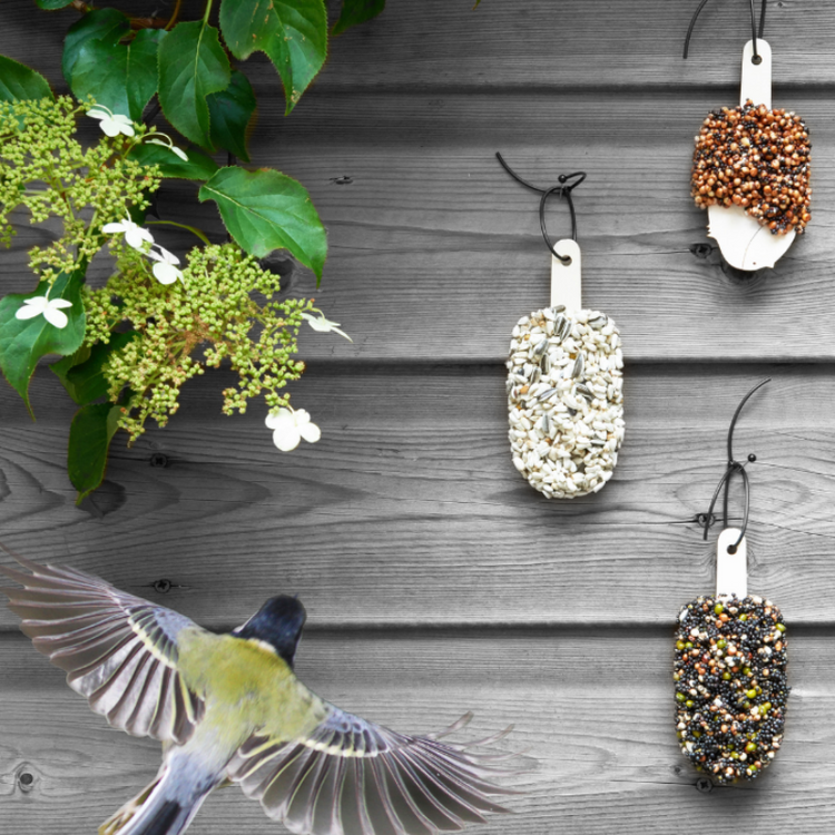 studio carmela bogman - dessert for birds - crunchy crunchy