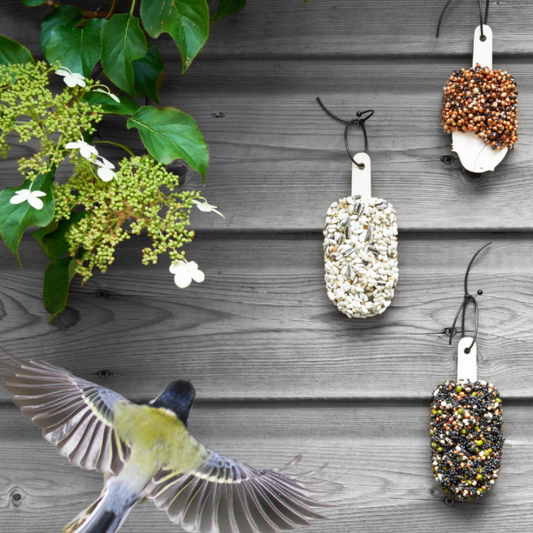studio carmela bogman - dessert for birds - crunchy crunchy