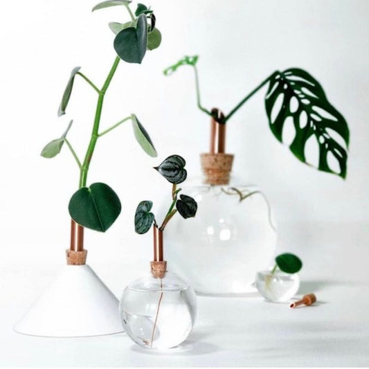 consilium vase - snow white - large