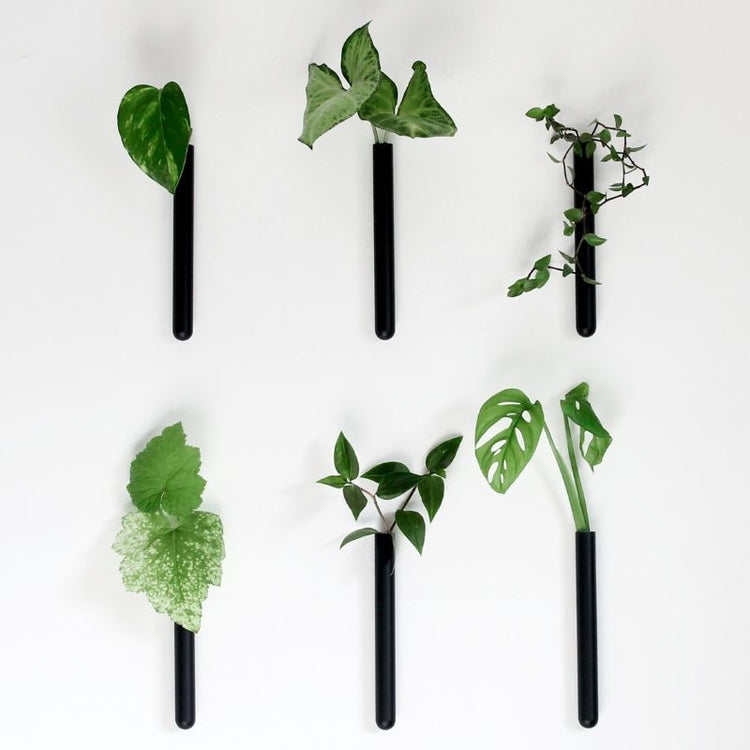 muurbloempjes - zwart -  set van 6