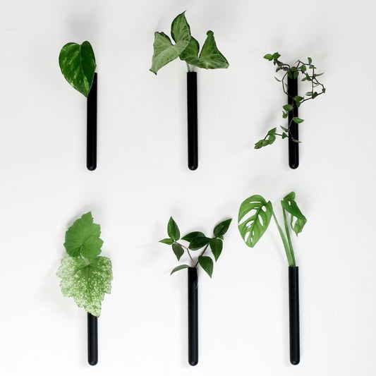 muurbloempjes - zwart -  set van 6