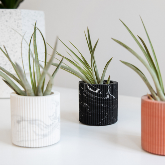 house raccoon - morgan theelichthouder - black marble