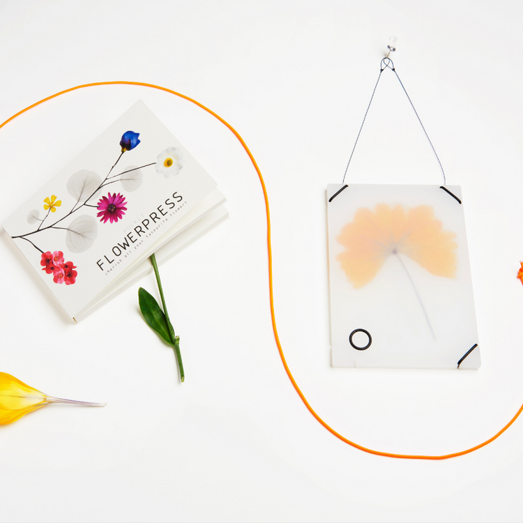 studio carmela bogman - pocket flowerpress- white