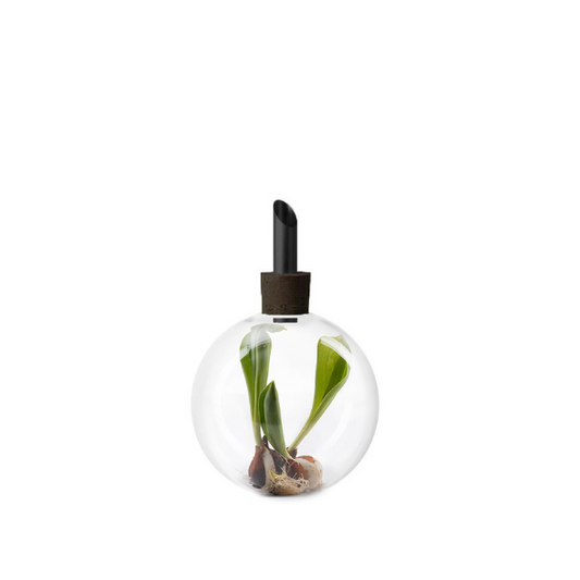 scandinavia form - glasilium vaas  - zwart - medium