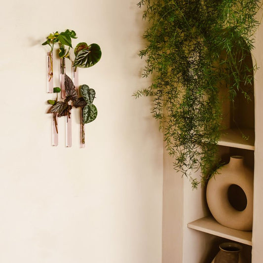 muurbloempjes - roze - set van 6