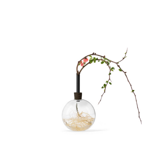 glassilium vase - black
