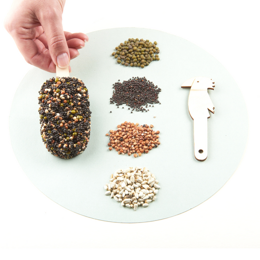 studio carmela bogman - dessert for birds - indian summer