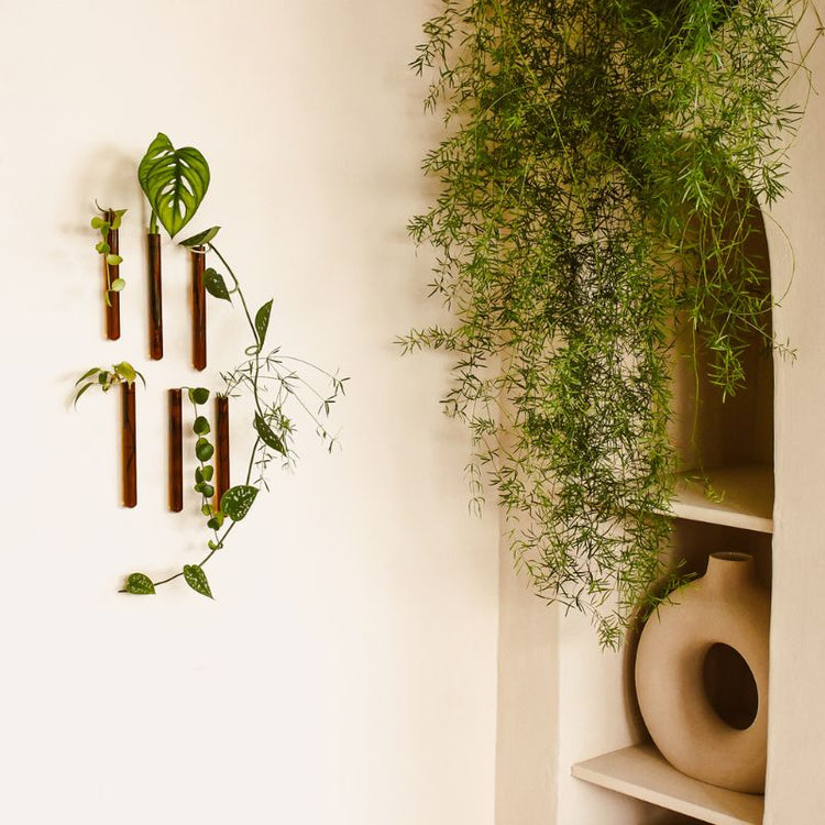 muurbloempjes - amber -  set van 6