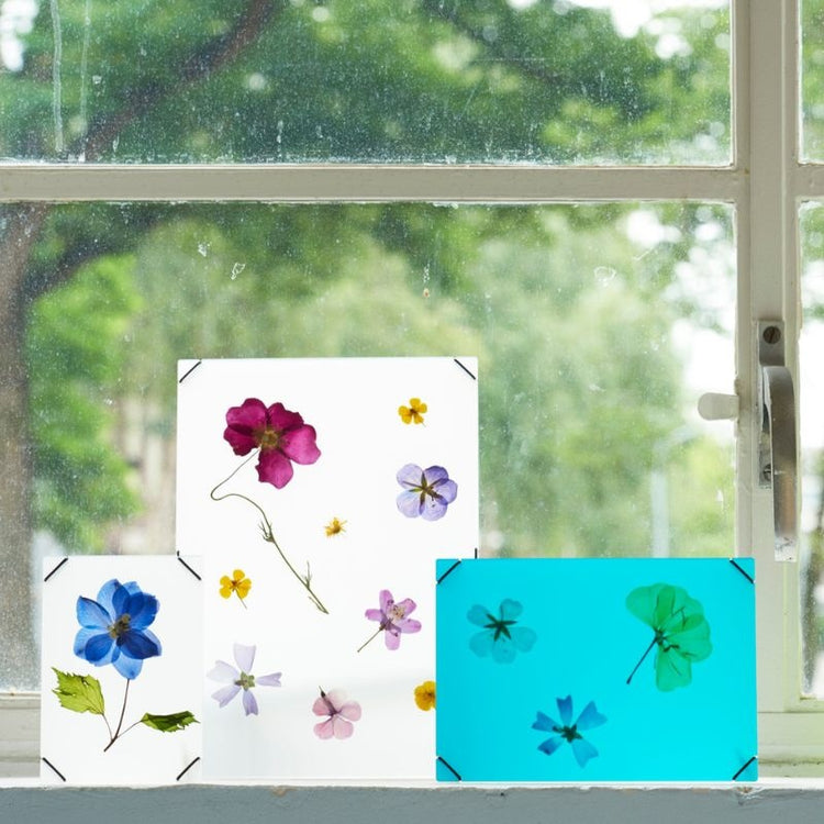 studio carmela bogman - flower frame - large