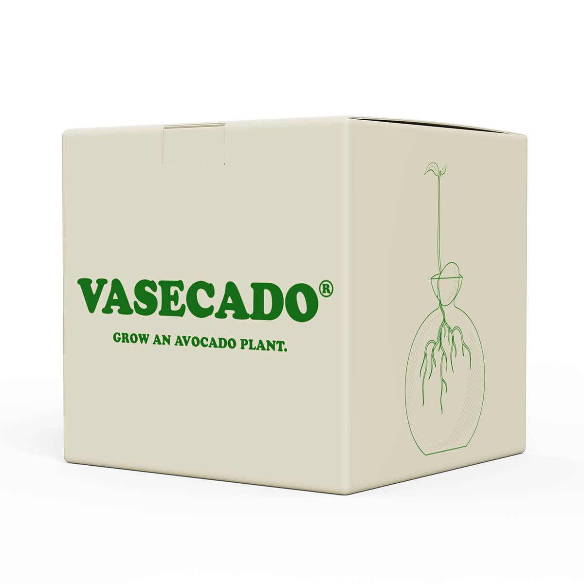 Handgeblazen glazen avocado kweekvaas in  mooie geschenkdoos