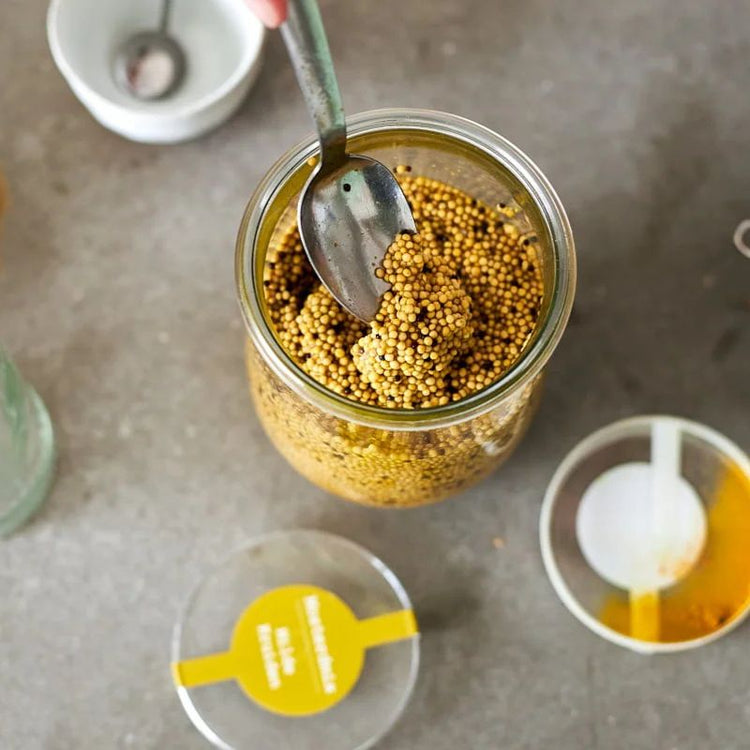 rotten pot - mustard