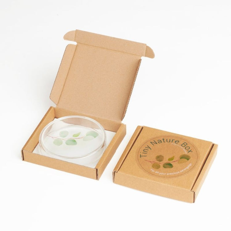 studio carmela bogman - tiny nature box